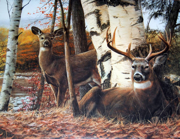 Autumn's Majesty. Hope Street Editions poster KD0326. Art by Kevin Daniel.