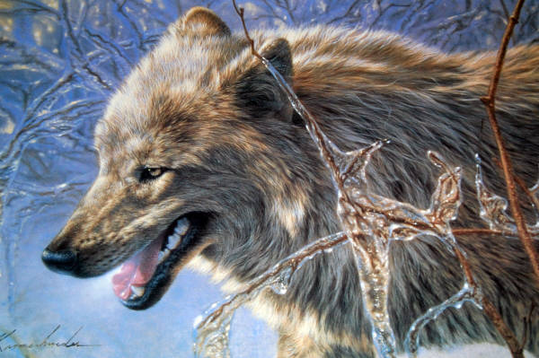 Fire and Ice. Wild Wings, Inc. poster WW 0313. Photo by Lee Kromschroeder, 2000. 