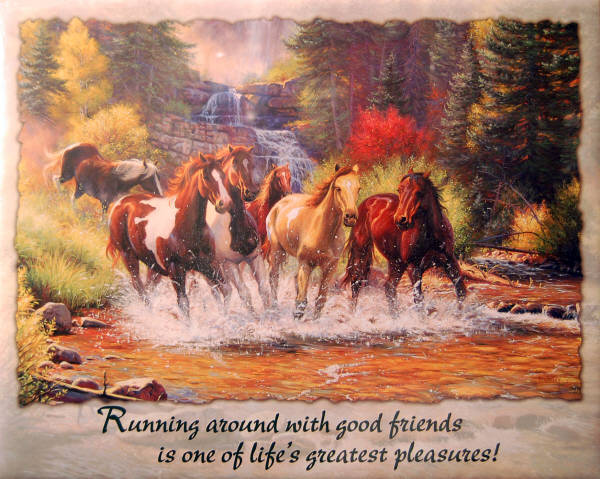 Leanin' Tree 16 x 20 Poster SKP30120 Free Spirit by Mark Keathley.