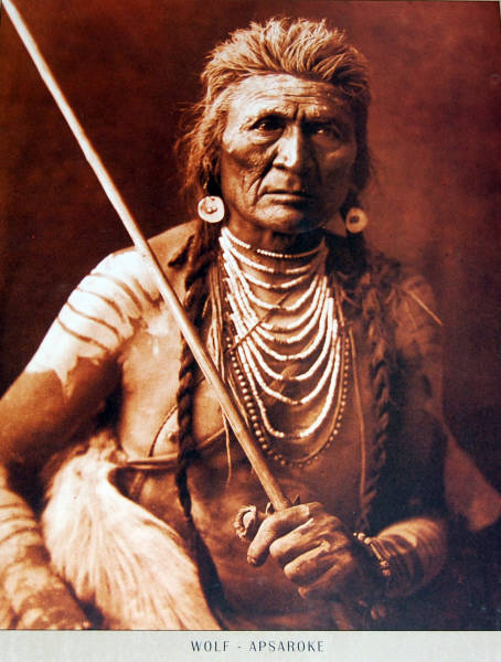 16 x 20 Poster Wolf - Apsaroke. Photo by Edward Curtis.