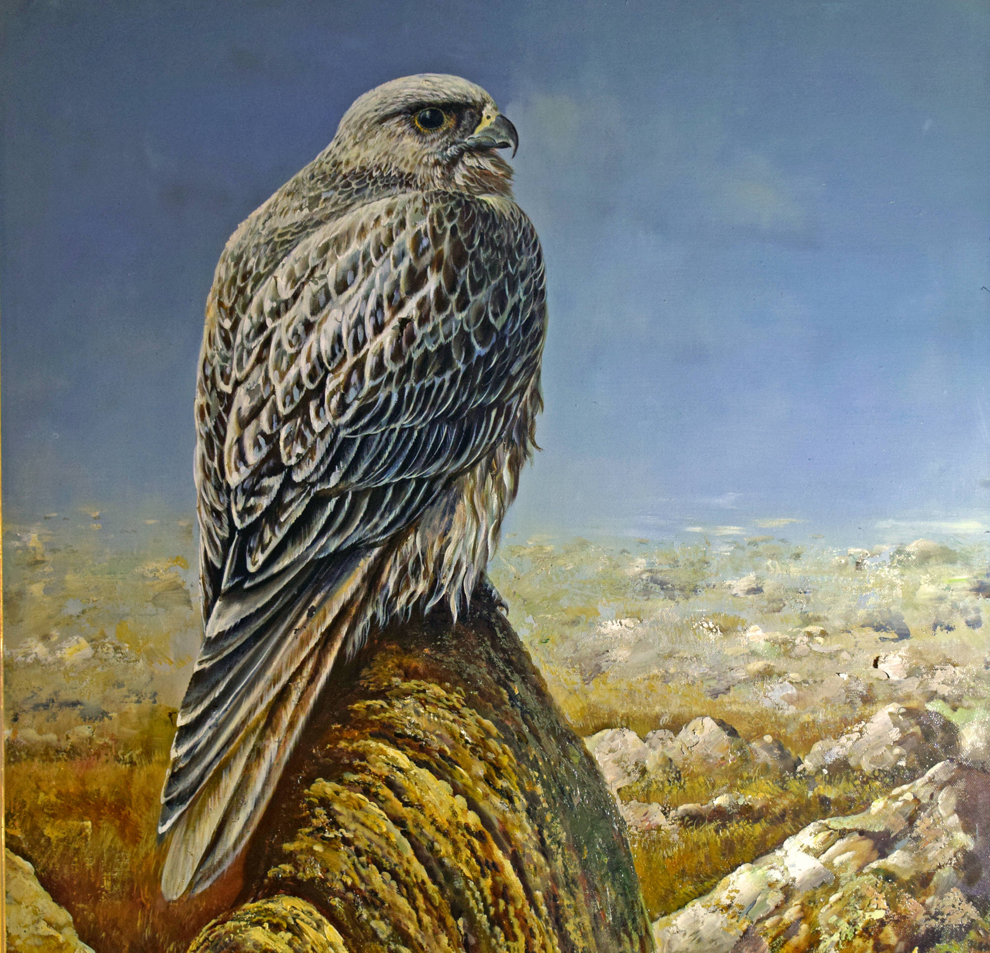 Allstone Smith: Falcon on Mountain.