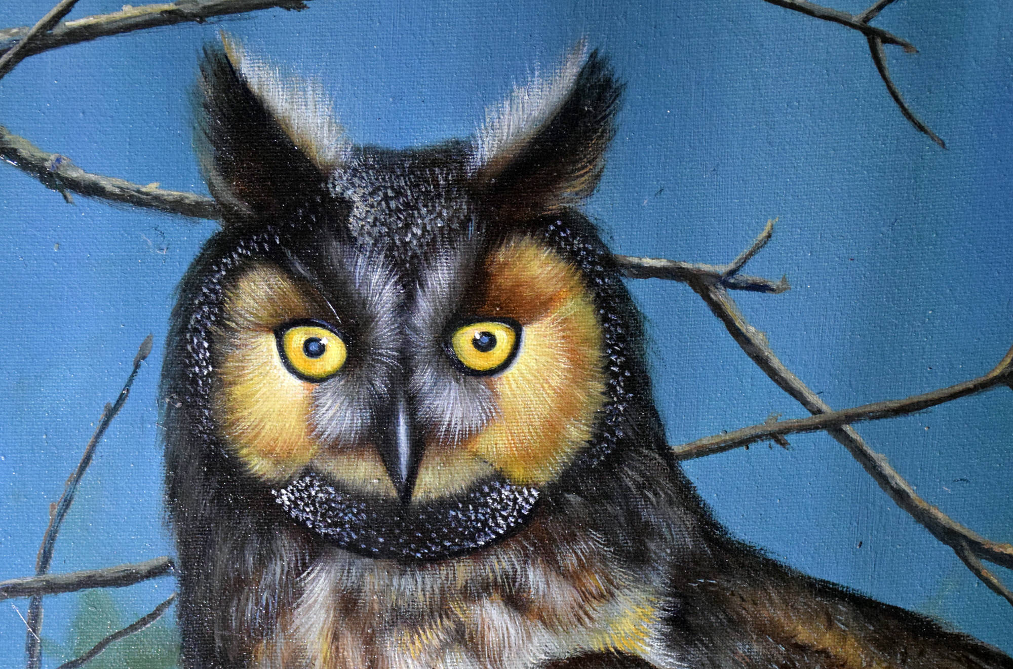 Luyuan Qing: Owl in Morning Forest.